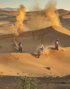 Zagora Desert Adventure – 2 Days